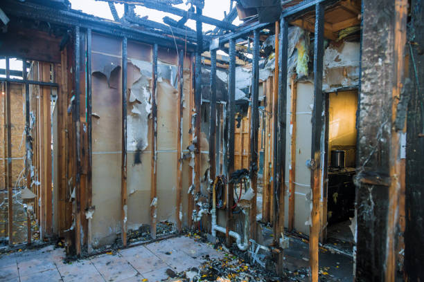 Professional Smoke Damage Removal technician working in Montgomeryville, PA